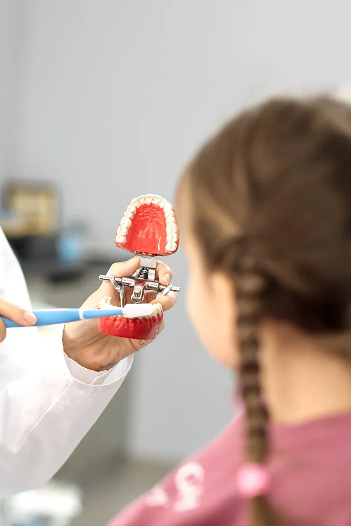 Profesional enseñando a una niña a cepillarse los dientes con un modelo dental